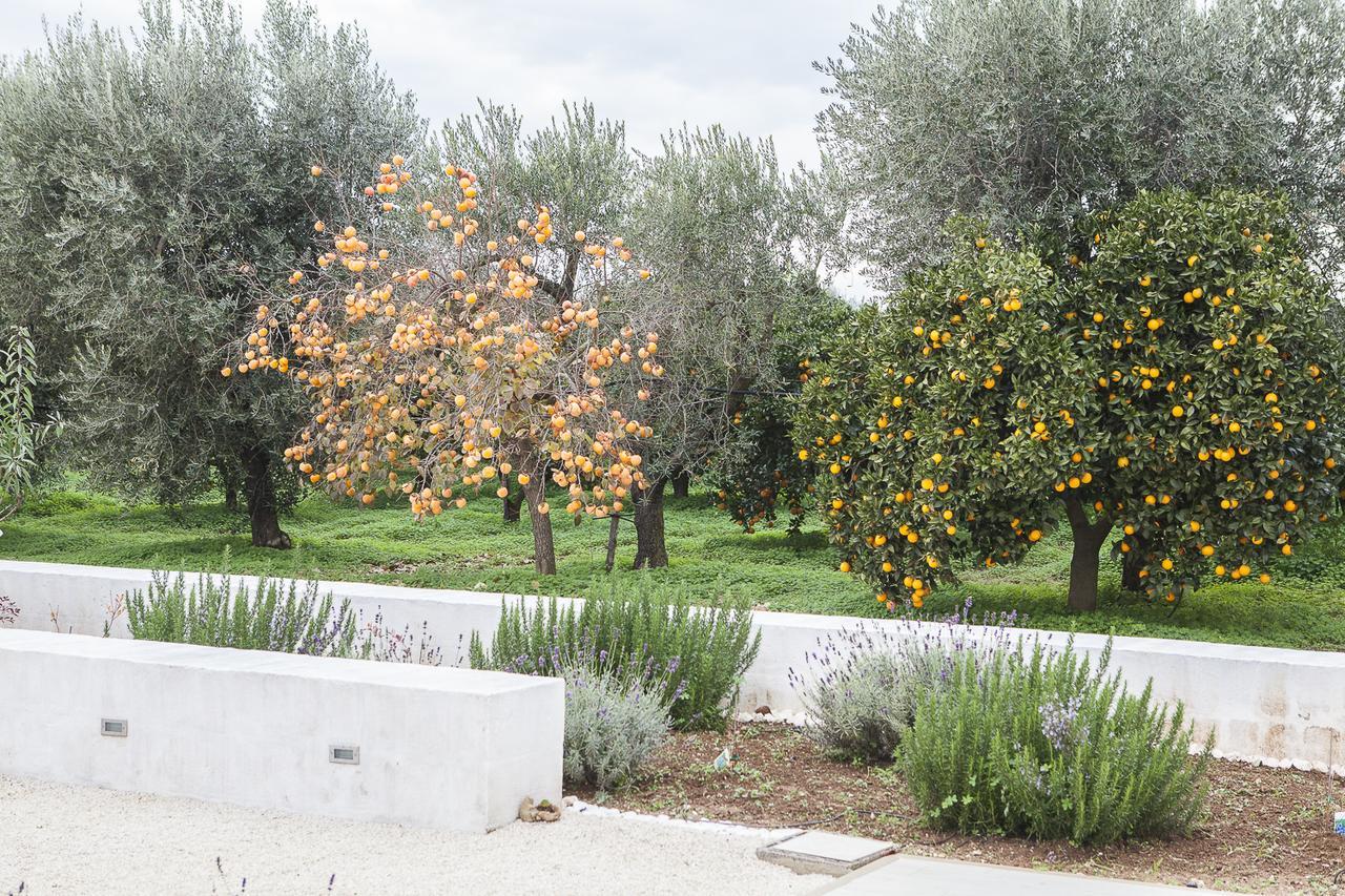לינה וארוחת בוקר Palagianello Le Stanze Di Meli מראה חיצוני תמונה